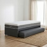 Dual Advance - Imagen 2